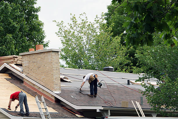 Roof Gutter Cleaning in Carolina Beach, NC